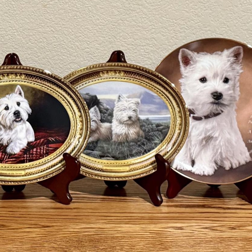 Dog Limited Edition Collection